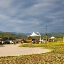 금호강오토캠핑장 이미지