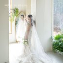 드와 | 부산 웨딩촬영 블랑드윈느 스튜디오꿀팁 후기