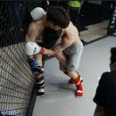 레드폭스 이미지