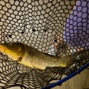 나까보까 실내낚시터 | 김포이색데이트 추천! 나까보까실내낚시터 후기