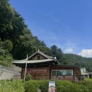 청기와민박 | 인제스타디움 방문객 강력 추천하는 청기와맛집 후기