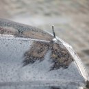 해아전기 이미지