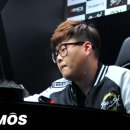 쟈브 포모스