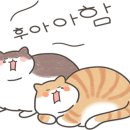 편하개 놀다가냥 이미지