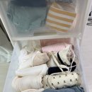 클로르 | [내돈내산] 리뗀클로르 트롤리 후기