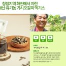 화천가시오갈피농장 이미지
