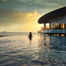 아일랜드리솜 이미지