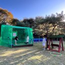 해바라기펜션 | 가평펜션추천 연화펜션 해바라기방, 바베큐 후기