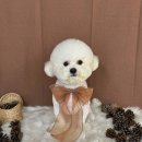 그루아미 이미지