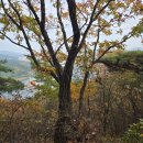 웅남동행정복지센터 | 창원 새방골산(동구산) 등산 (웅남동행정복지센터 출발, 복지회관 하산 코스)