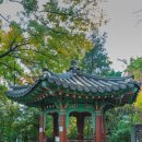 심원정 왜명강화지처비 이미지