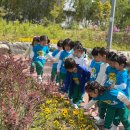 정민유치원 이미지