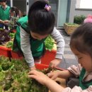 합정동주민센터 이미지