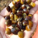 쉬어가기 좋은 날 이미지