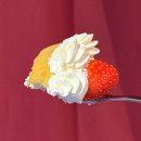 까치농장 | 강남역 신논현 카페 까치화방 딸기 케이크 디저트 꽃다발 달콤한 데이트코스