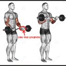 힘 세 GYM 이미지