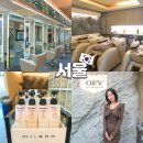 은성인테리어 | 잠실새내미용실 온리포유 은성원장 클리닉 커트 후기