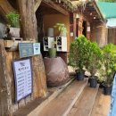 다란동물병원 | 팔공산에서 오리 먹고 장어 먹고 카페 가고