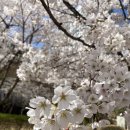 화정봄약국 | 19. 이제 진짜 8월 1일까지 약속 하나도 안 잡고 공부만 할게