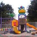 숲속의 산책 이미지