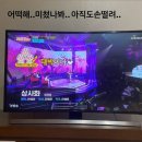 안예은 카카오 검색결과