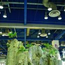 (주)가나안건설 이미지