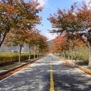 새재ㆍ낙동강자전거길 이미지