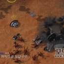 비젼부화장 이미지