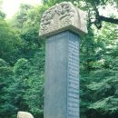 해인사 팔만대장경 경판, 수종 분석과 거제도産 나무로 제작 이미지