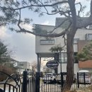 데이지풀빌라 이미지