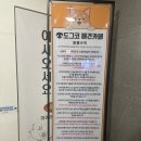 도그코 | 경기 광주 애견카페 &#39;도그코&#39; 후기! 접근성도 좋고 실내, 실외 놀이터까지!