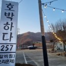 호박하다257