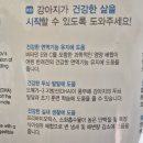 로열 퍼피샵 이미지