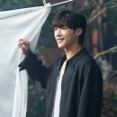 플랑크톤 JTBC