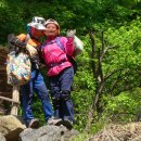 501차 남원 봉화산 산행사진 110517 이미지