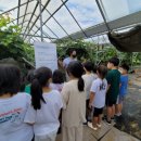 정아농장 이미지