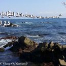 청수5로 티스토리