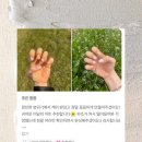 구래동 네일샵 네일바이은 실제 방문 후기 모아봤어요 😊