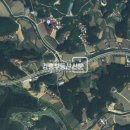 경포대공인중개사사무소 이미지