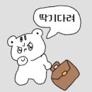 부쉬코너 이미지