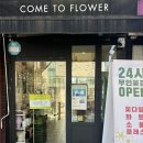 [컴투플라워/내돈내산]판교 퀄리티 좋은 무인꽃집!?
