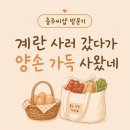 충주시 로컬푸드 직매장 충주씨샵 | 충주씨샵 장보기 후기, 충주시민의날 10% 할인까지