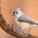 여기산1(서) 이미지