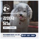 동두천 메디컬 센터 이미지