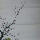 사군자 이미지