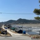 찐빵목장 | 부안 슬지제빵소 베이커리 카페 곰소 소금찐빵 웨이팅