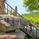 청남대 숲속 펜션 | 청도독채펜션 숲속 감성 제대로 느낀 산나들이펜션 솔직후기