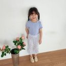 메리고라운드 이미지