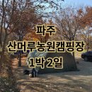 조향농원 | 산머루농원캠핑장 리뷰｜파주 아이와 가기 좋은 체험캠핑 BEST