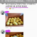 (주)유가네 이미지